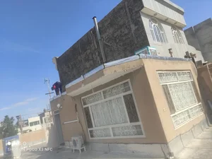 ایزوگام و قیرگونی صحرایی 2