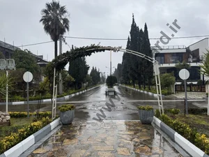 بیمه ایران