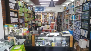 الکتریکی پارس تک