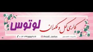 گالری گل و گلدان لوتوس