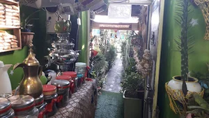 حیاط سبز شیراز
