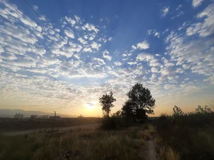 پرورش ماهی