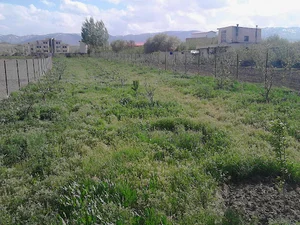 باغ سیب درگاهزاده