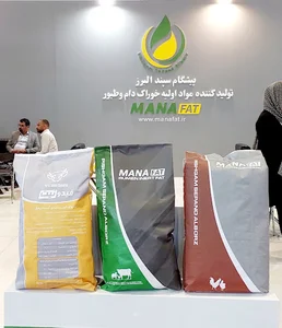 پیشگام سپند البرز
