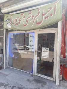 اجیلی سید