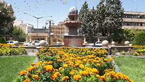شرکت برق منطقه ای غرب