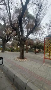 پارک مدرس 4