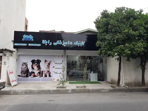 کلینیک دامپزشکی رایکا آمل