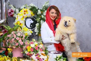 کلینیک دامپزشکی دکتر سروناز گیاهی رشت 2