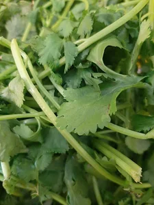 سبزیجات آماده و محصولات خانگی چی گل