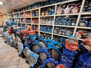 فروشگاه آهن ملکی