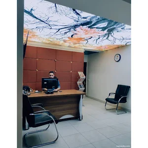 سقف کشسان | نپواسکای