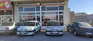 اتوگالری شاهین