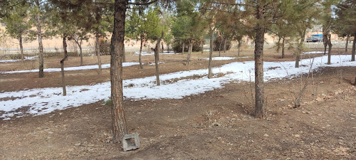 بوستان کوثر