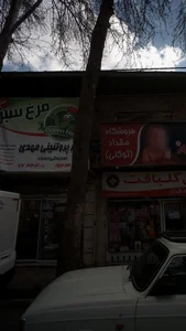 سوپر پروتئینی مهدی
