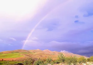 زمین و باغ دکتر اوسطی