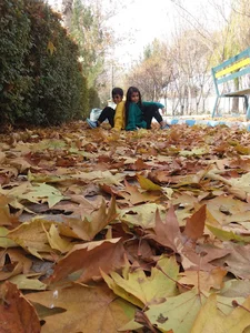 کافه سینما