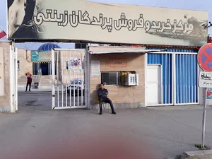 فروشگاه تیرداد
