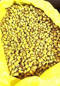 کارگاه شور کاری آجیل 3
