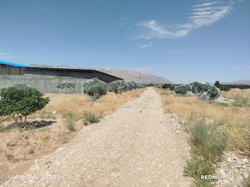 باغ انجیر عظیم امیدواری
