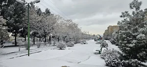 بوستان بازنشستگان