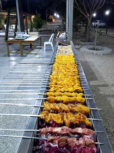 ستاره پاتل