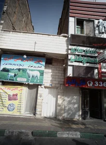 دکتر ملا طایفه
