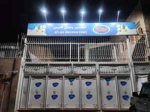 شرکت اطلس پخش فارس 2