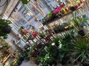 گلسرای هیوا
