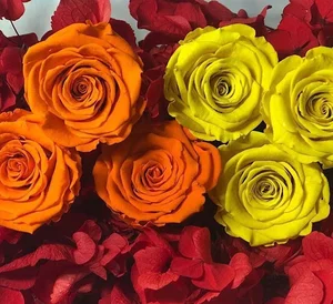 گل فروشی کارن
