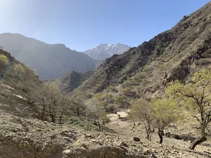 Persia Nomad Tours