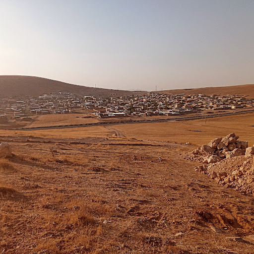 کرفتو