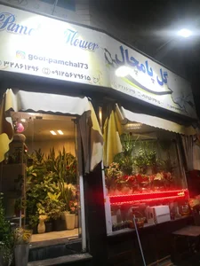 گل فروشی پامچال 2