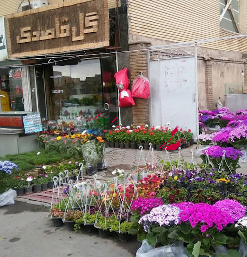 گلسرای قاصدک