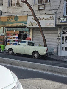 سوپر مارکت ایران تانیش