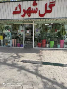 گل فروشی آنلاین بامبو