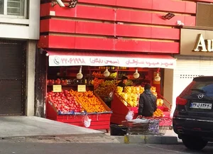 SAVALAN Super Fruits
