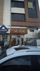 سایه گل 2