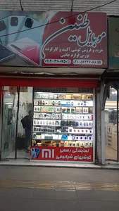 طنین