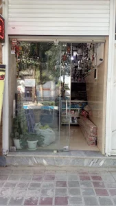 برق قصر نورانی
