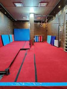 باشگاه ژیمناستیک وحید