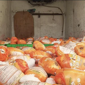 سوپر پروتئین بعثت 3