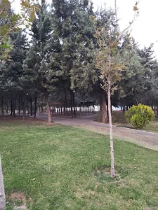 بوستان مرزبان