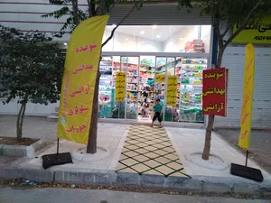 شوینده وبهداشتی باران