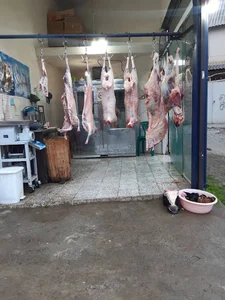قصابی کوهستان