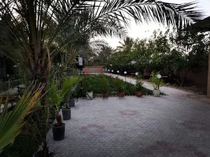 کافه سنتی نخل