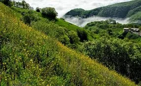 سردشت