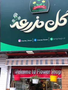 فروشگاه گل مزرعه