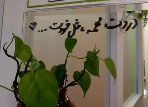 فیزیوتراپی بهشت 5