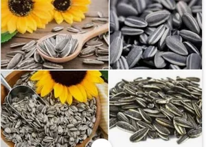 علی رضا فعله گری